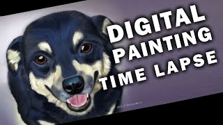 Decided to do some pet portrait practice with my sister's dog! she
doesn't the 'doggy smile' much, so it's a rare treat photograph her
looking this pep...