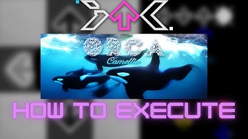 【ITL 2022】[14] Orca - How to execute