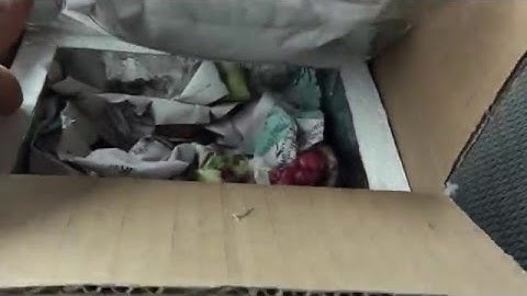 Ball Python Unboxing: Clown (Reduced Pattern/Possible Blade)