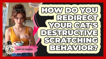 How Do You Redirect Your Cat