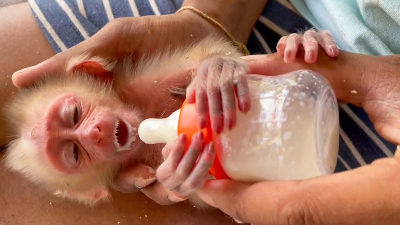 After take a bath for Elly so i prepare milk for Elly coz when stay at farm look like she get less