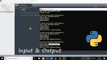 #4 Python 3.8 Programming Tutorial | Input & Output