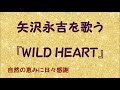 『WILD HEART』/矢沢永吉を歌う_611 by 自然の恵みに日々感謝
