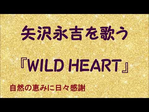 矢沢永吉ワイルドハート Amazon.co.jp: 矢沢永吉 WILD HEART EIKICHI YAZAWA CONCERT