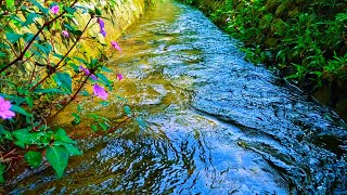 River Water Ambience with Piano Music for Deep Meditation, Sleep Insomnia Relief and Peaceful Rest
