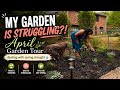 April Garden Tour 🌱 Dealing with Spring Drought & What’s Still Thriving
