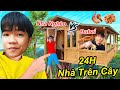 24H Sống Trong Ngôi Nhà Tự Chế Trên Cây Xoài Phong Cách Đubai Và Bình Dân | TQ97