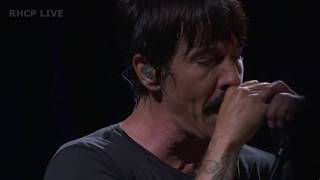 RHCP - Don't Forget Me - The Meadows Festival, NY [PROSHOT] (SBD audio)