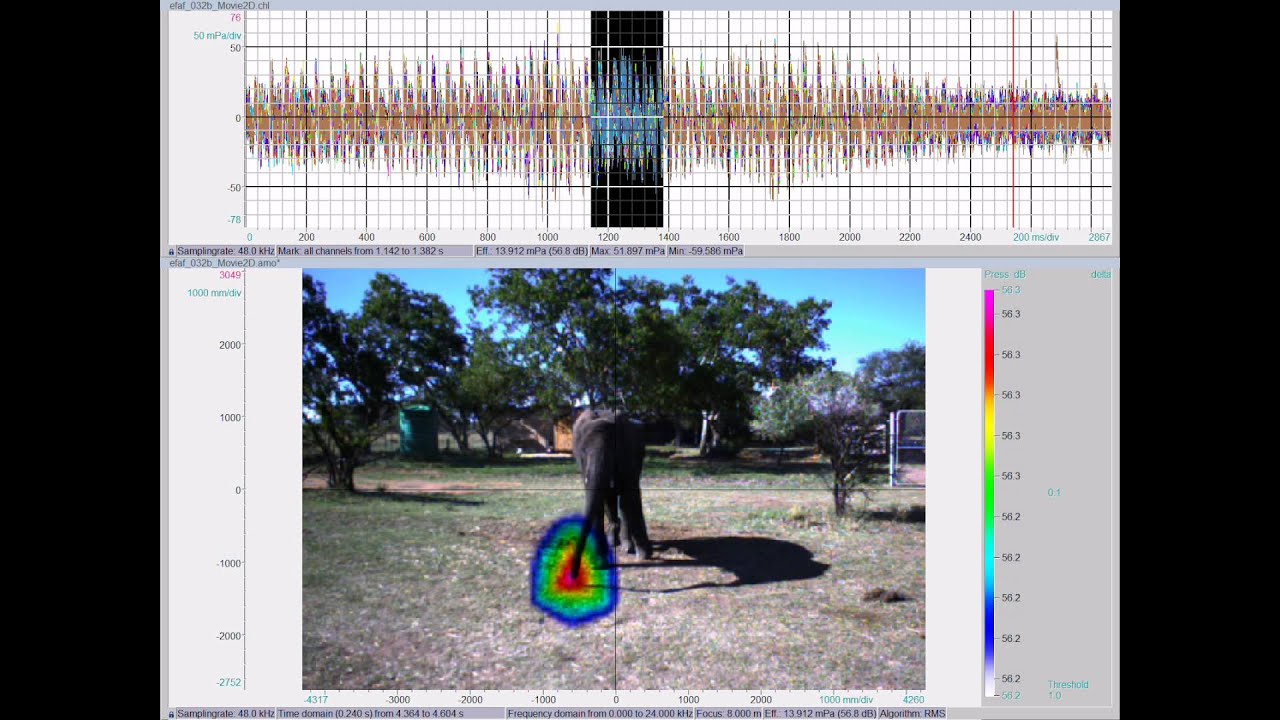 Elephant Nasal Rumble - 5 fps