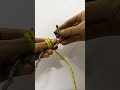 How to Connect Two Different Sized Ropes Securely | Knotify Hacks