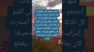 من يريد قصة إليزابيث؟