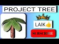 Project trees banana sikhe artificial tree kaise banaen project try kaise banaen 