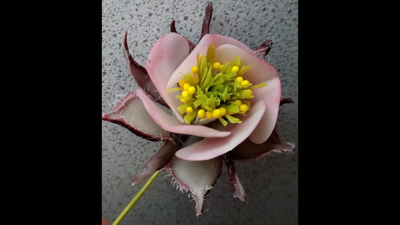 М.К. Гравилат речной из холодного фарфора (цветок) Автор МК Татьяна ...