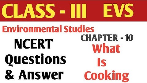 CLASS - 3 | EVS CHAPTER-10 what is cooking |CBSE |Environmental studies| Questions & Answer in Hindi
