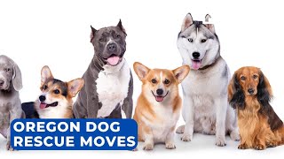Oregon Dog Rescue moving to new facility