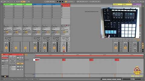 Use the Maschine Controller as a Keyboard or Drum Pad with Ableton Live 10.