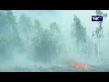 Внимание. Мощные пожары в Якутии. Берегите Лес!