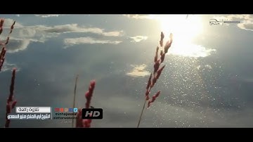تلاوة رائعة للشيخ الفاضل أبي المنذر منير السعدي حفظه الله