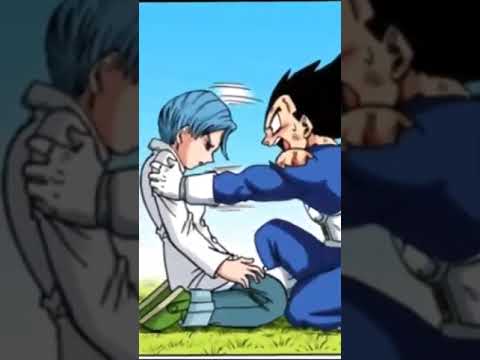 حب فيجيتا و بولما في المانجا