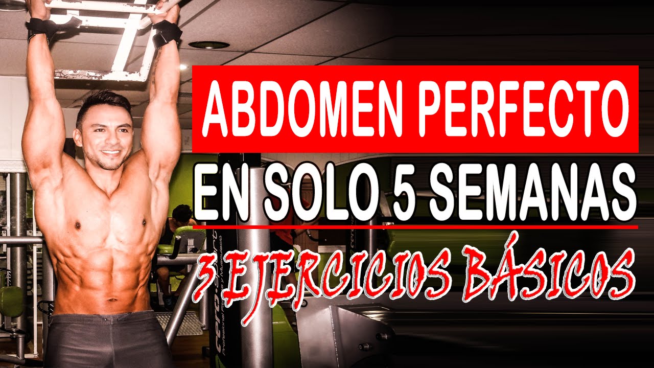 Abdomen perfecto en 5 semanas con tres ejercicios básicos carnivorous plants near me