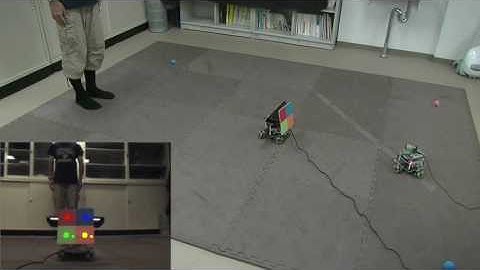 Leader Following with Human by Visual Feedback Control