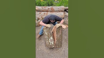 21" Red Oak Log vs Home Depot Maul