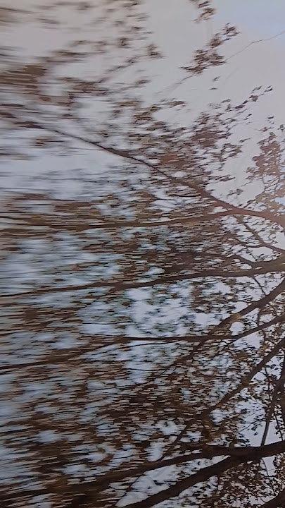 Kaja Na Kauna Rangdar Pa | Tuntun Yadav Purana Ahir Song | Ahir Jitendra Yadav | Yadav Ahir Song 👌