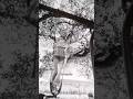 I don’t like what other girls like… #notlikeothergirls #monochrome #Bloc44 #swing