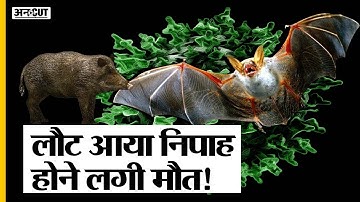 Kerala में Corona के बाद Nipah Virus का खतरा, बच्चे की मौत के बाद Alert Mode में आए Centre-State|