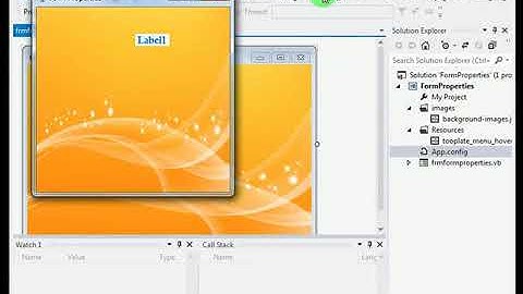 Form properties of VB NET