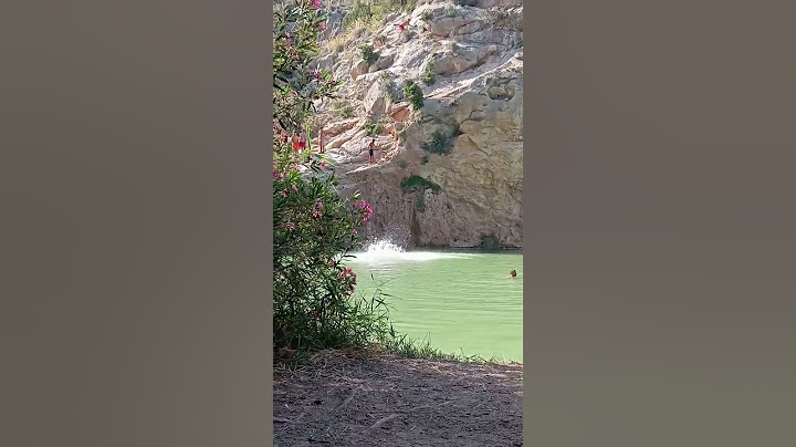 Seguimos con los saltos al agua 🏞️🌳.               #viral  #nature