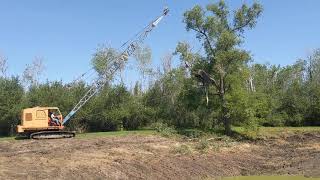 tree removal with the koehring 405