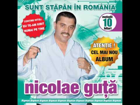 Nicolae Guta - Cine aduce bautura (Audio oficial)