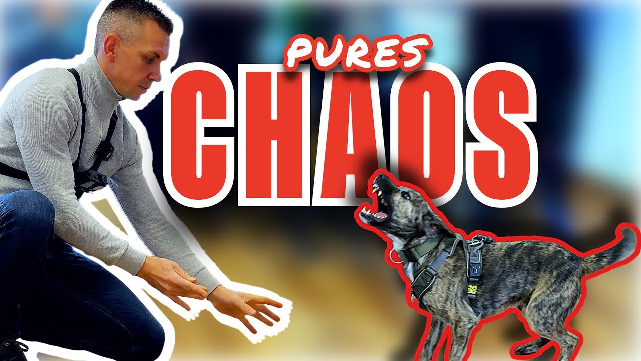 HILFLOSIGKEIT, TRÄNEN UND VERZWEIFLUNG