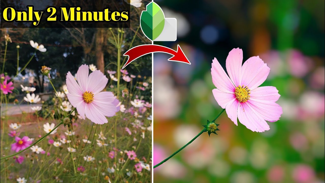How to Blur Background in SnapseedPhoto ka Background blur Kaise kareBackground Blur Photo