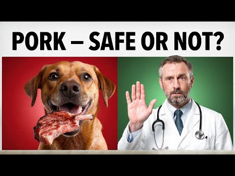 Can Dogs Eat Teriyaki Pork