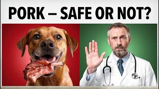 Can Dogs Eat Pork: What to Avoid & What's Best to Give Can Dogs Eat Pork Is Pork Safe For Dogs