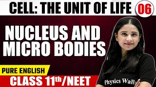 CELL - THE UNIT OF LIFE 06 | Nucleus & Micro Bodies | Botany | Pure English | Class 11th / NEET