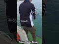 Singapore Boat Fishing - Pulau Hantu Besar #Shorts