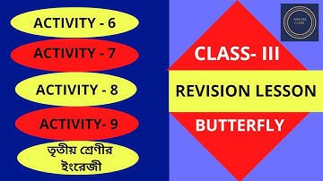 Class 3 Butterfly Revision Lesson Activity ( 6 - 9 )