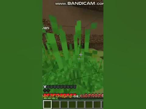 Купил Талисман Крушителя разыграю его на 20 подписчиков. - YouTube