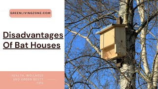 Disadvantages Of Bat Houses