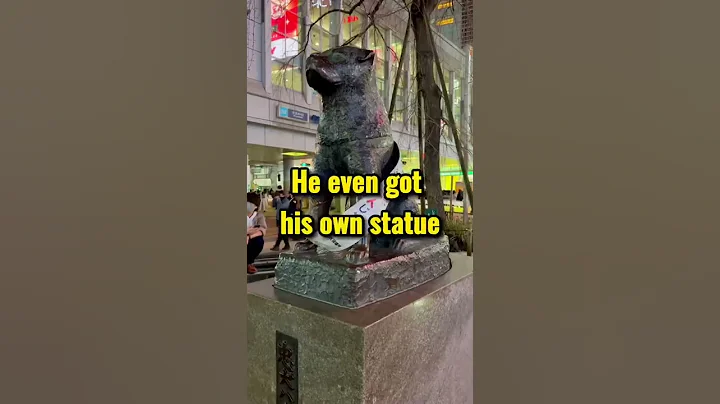 The most loyal dog in Japan #shorts