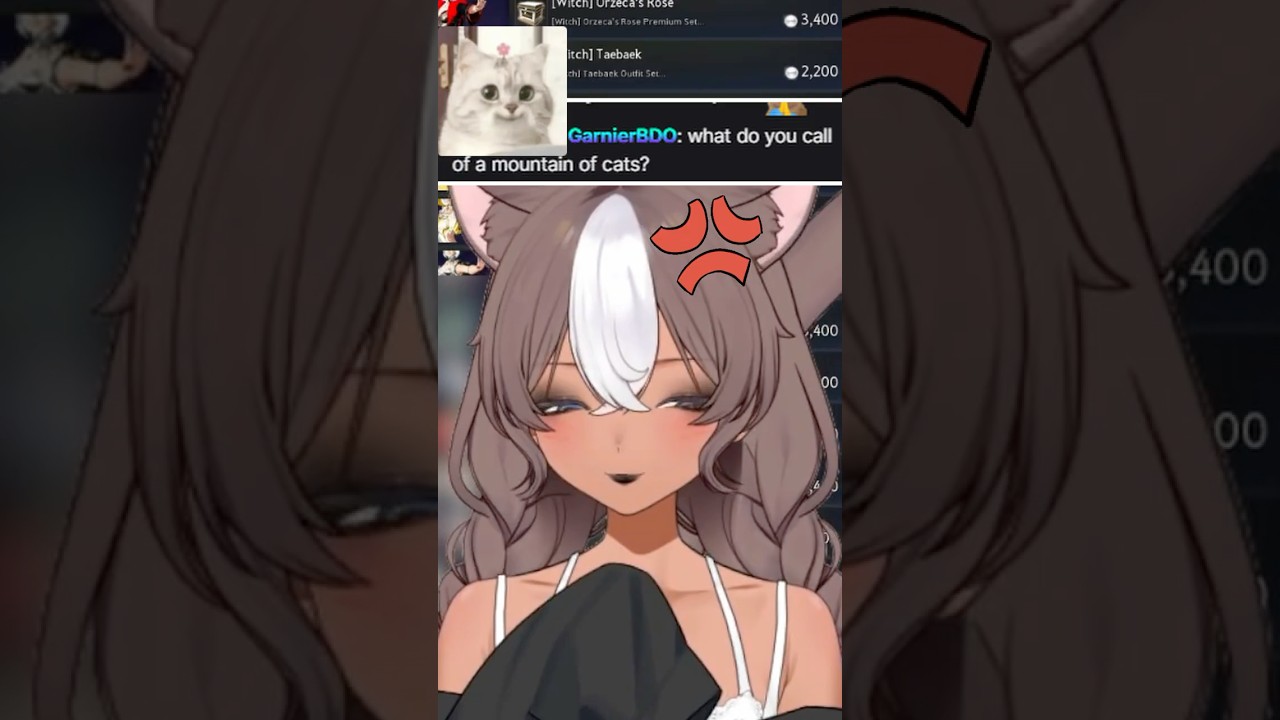 What do you call a Mountain of Cats | #blackdesert #vtuber #twitchclips
