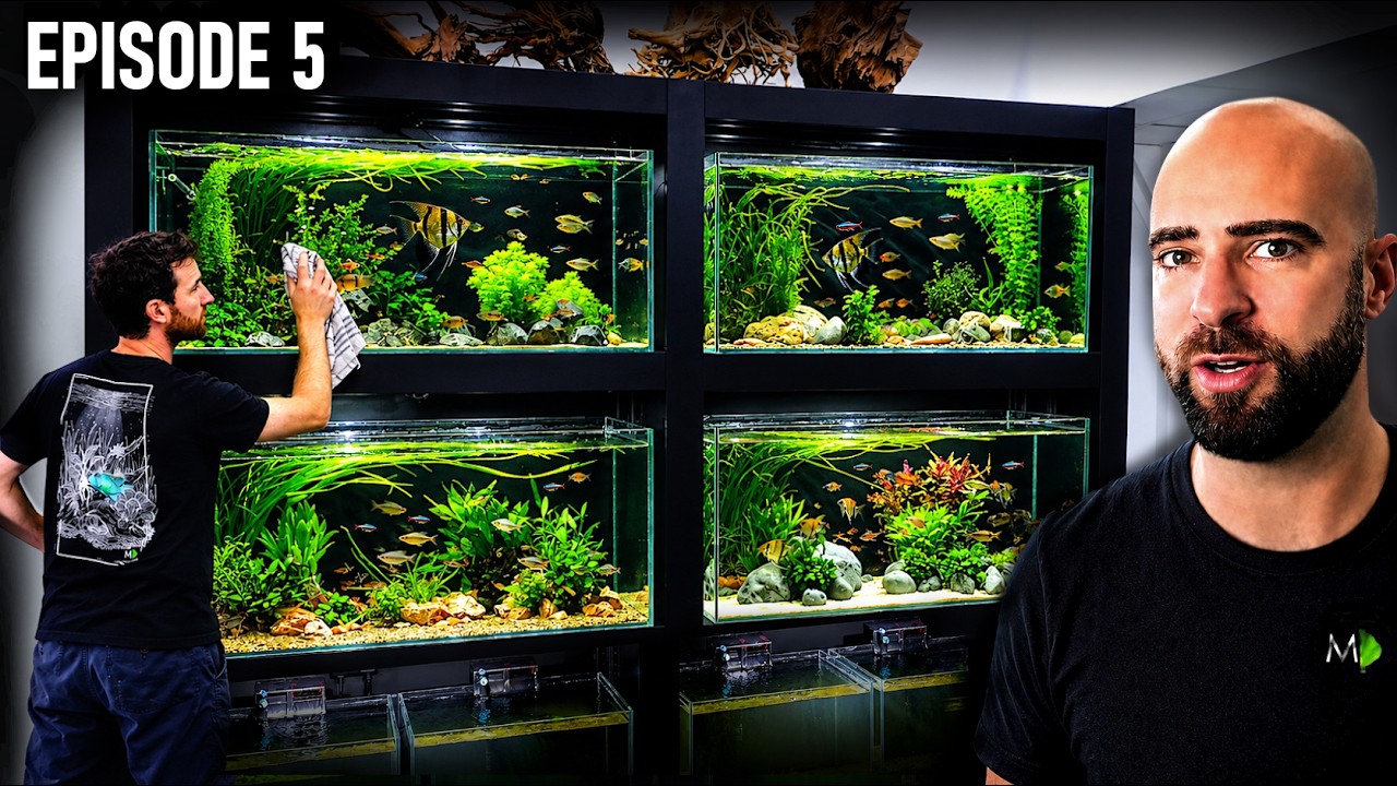 Moving 100's of FISH Into the New Studio |EP05| Warehouse To Fish Studio