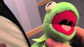 My Muppet plush collection (English version)