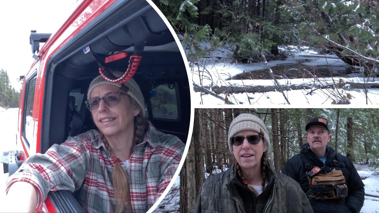 В лесу что-то изменилось… | Следы и признаки Бигфута на северо-западе Тихоокеанского региона