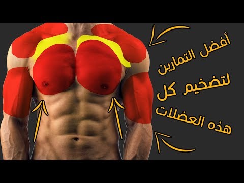 فيديو: كيفية بناء الصدر والكتفين