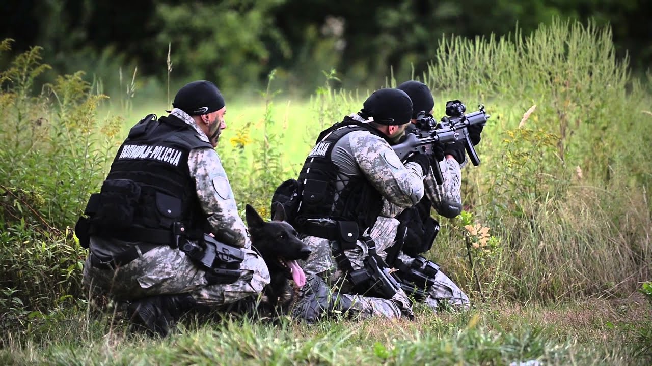 Simbol povjerenja: 15 godina Policije BDBiH