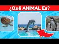 Adivina el Animal ACUÁTICO por la IMAGEN 🧐| (Quiz #1) Adivinanzas de Animales